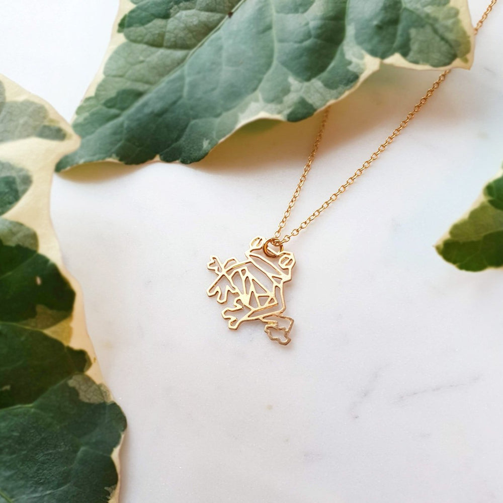 
                
                    Load image into Gallery viewer, Frog Necklace Gold / Silver - Shany Design Studio Jewellery Shop
                
            