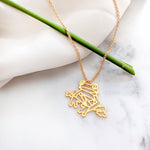 Frog Necklace Gold / Silver