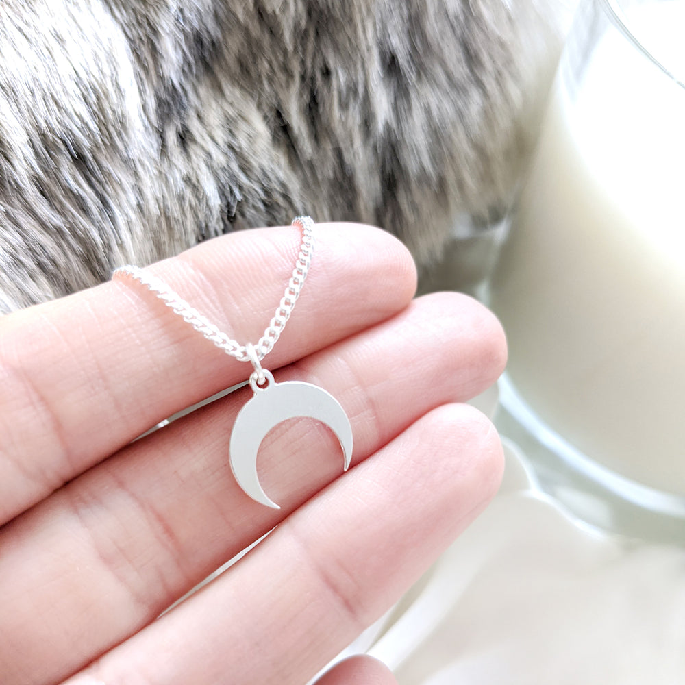 
                
                    Load image into Gallery viewer, Crescent Moon Necklace silver
                
            